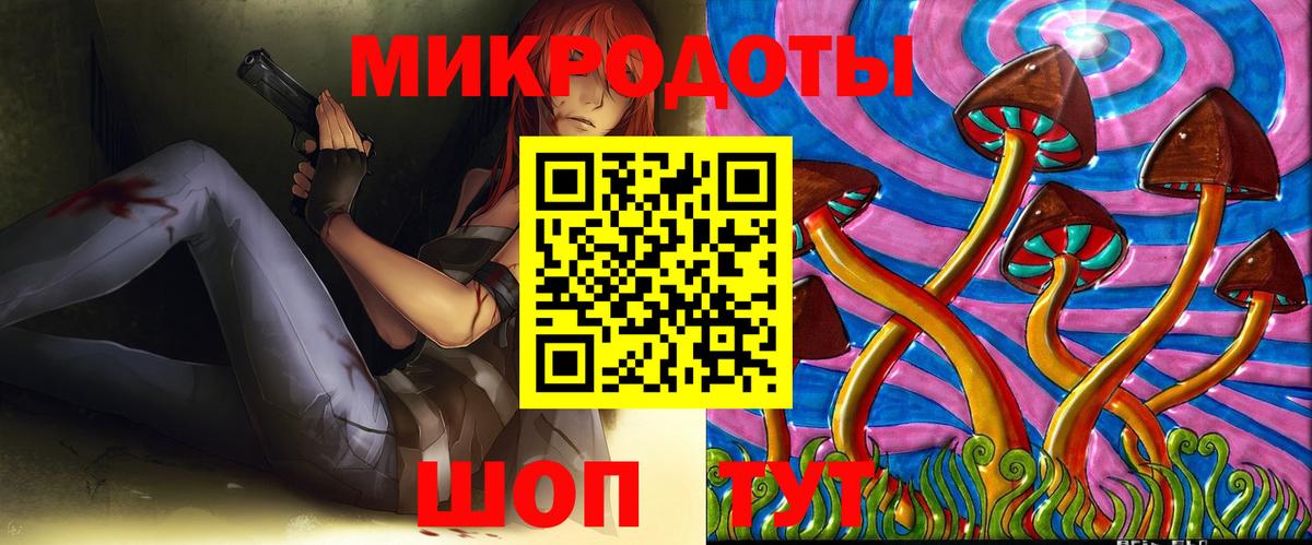Псилоцибиновые грибы Psilocybine cubensis Елабуга