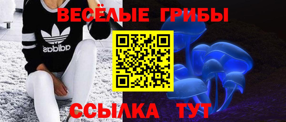 Галлюциногенные грибы мухоморы  Вход с VPN  Елабуга  хочу   Псилоцибиновые грибы мицелий 